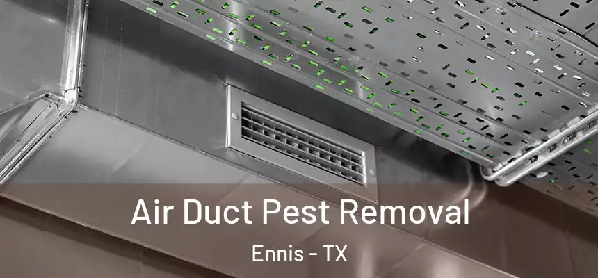  Air Duct Pest Removal Ennis - TX