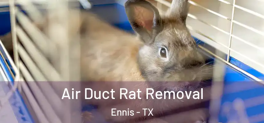 Air Duct Rat Removal Ennis - TX
