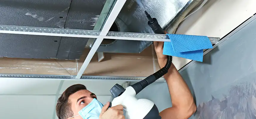 Our Air Duct Rodent Removal Services in Ennis, TX