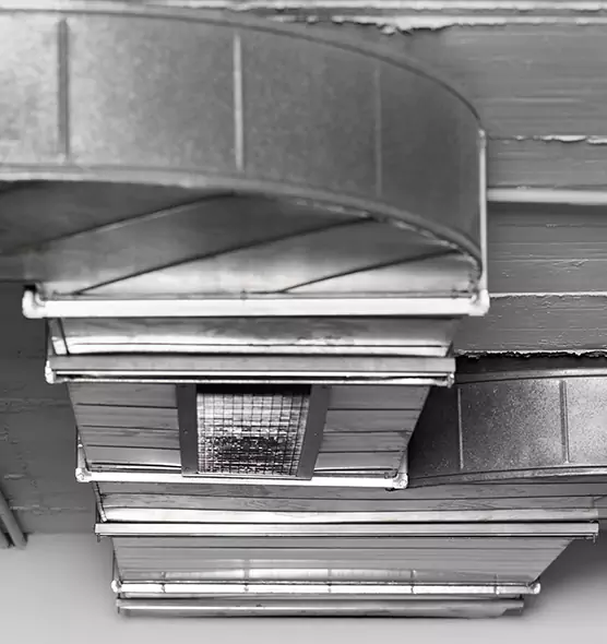 Professional Air Duct Pest Removal in Ennis, TX