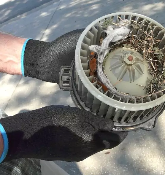 About Air Duct Rat Removal in Ennis, TX