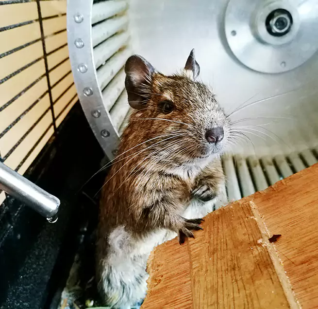 Why Homeowners & Businesses Trust Us Ennis, TX