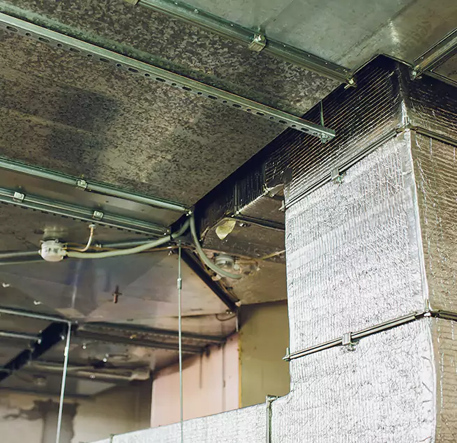 Why Homeowners & Businesses Trust Us in Ennis, TX?